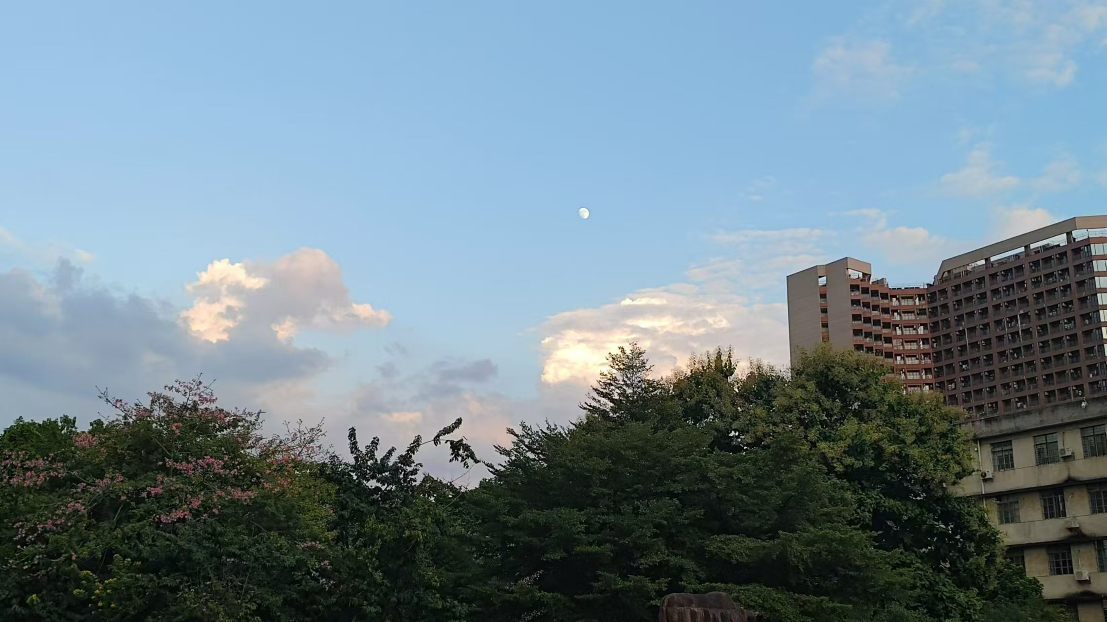 微信圖片_20241017081830.jpg 微信圖片_20241017081830.jpg