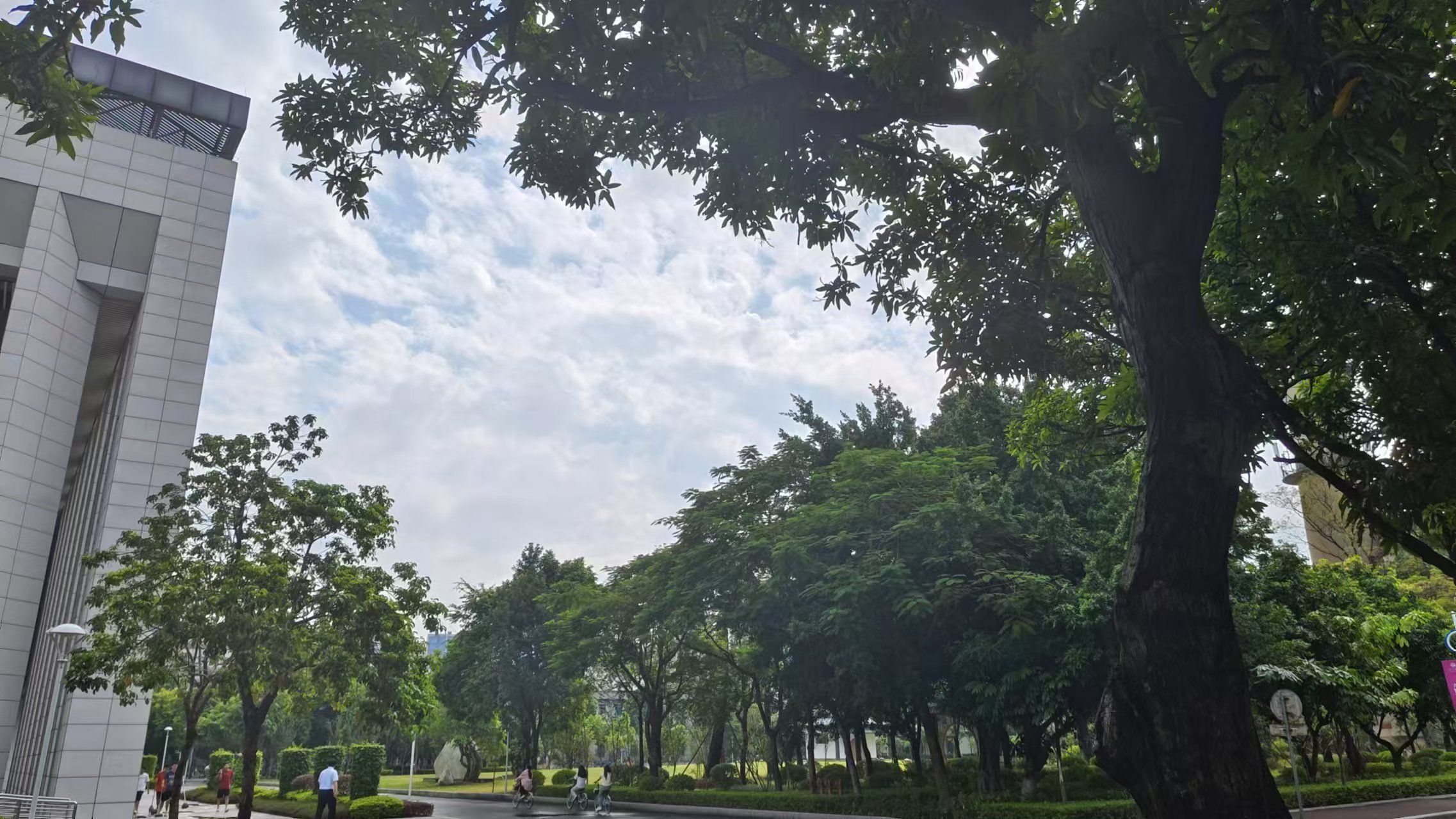 微信圖片_20241017081836.jpg 微信圖片_20241017081836.jpg